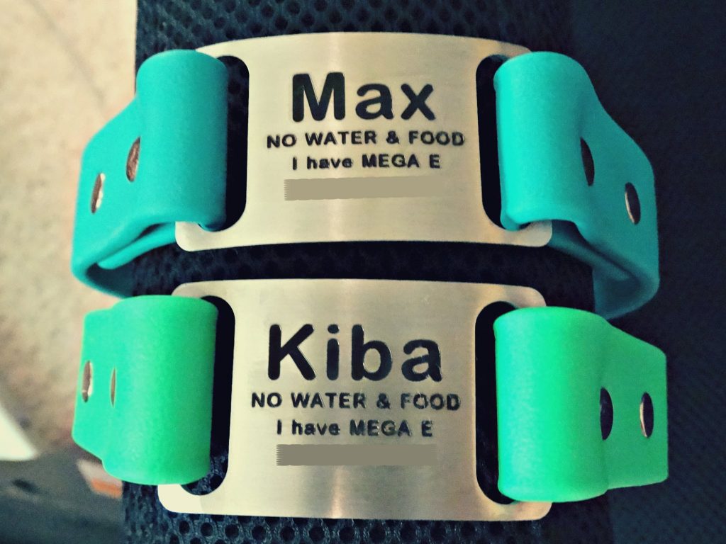 Megaesophagus engraved on dog collars