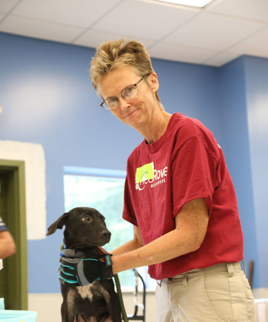 RedRover responder with a dog