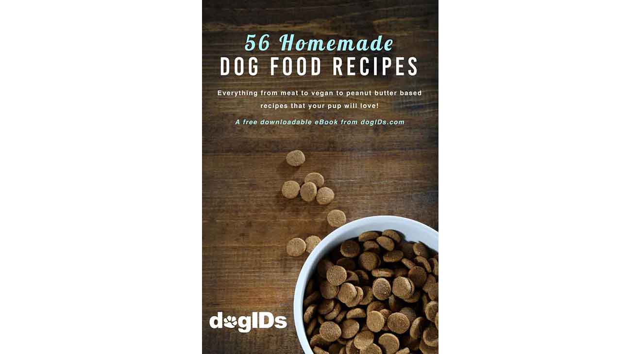 56 Homemade Dog Food Recipes