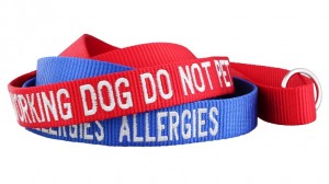 Embroidered Awareness Leash