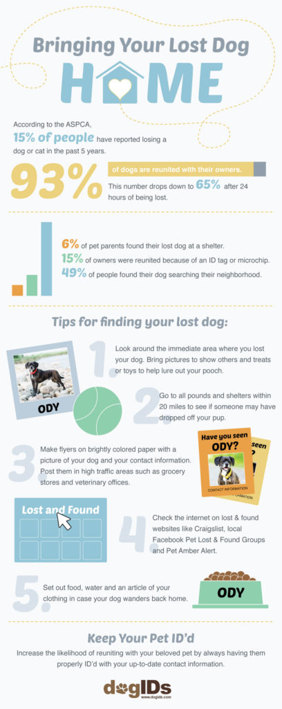 Bringing Your Lost Dog Home Infographic