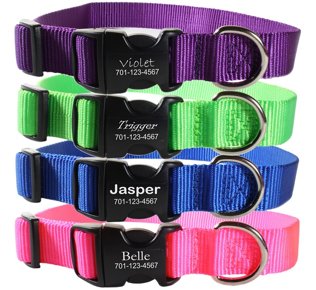 Side release sales dog collar