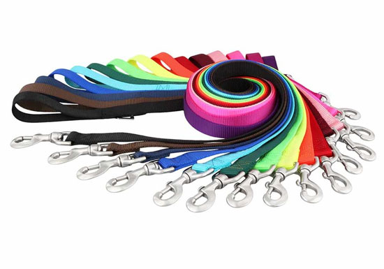 colorful nylon dog leashes