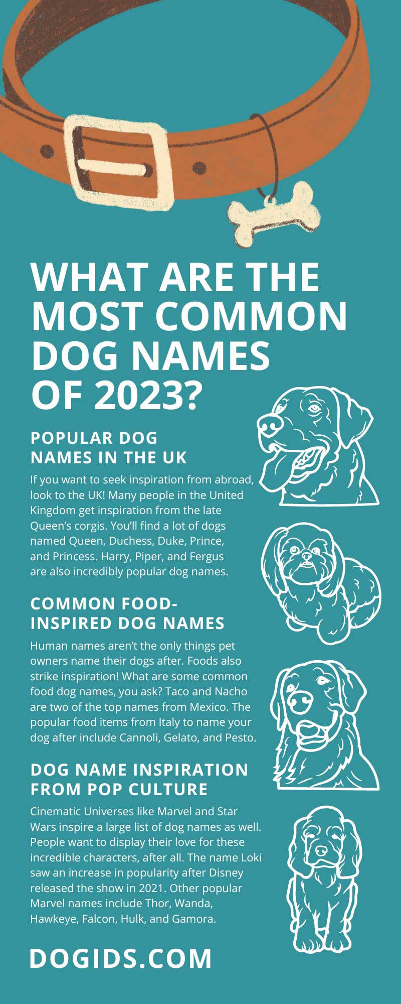 What Are the Most Common Dog Names of 2023?