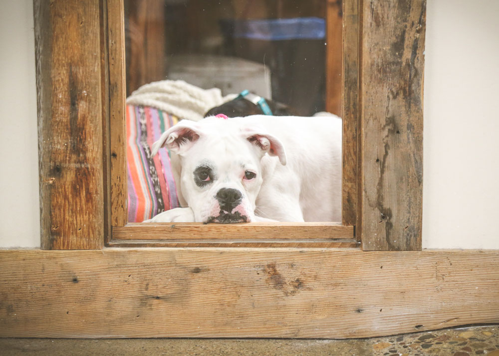 Emma sitting in a window