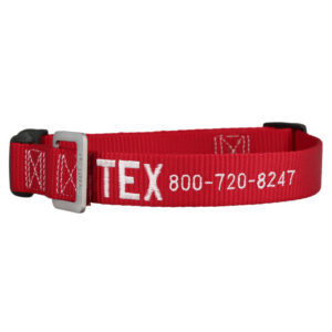 Embroidered Nylon Dog Collar