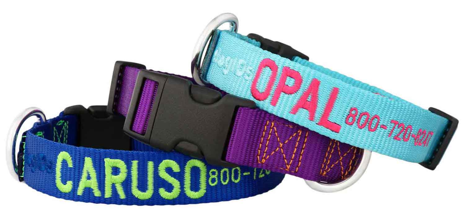 Personalized Nylon Dog Collars