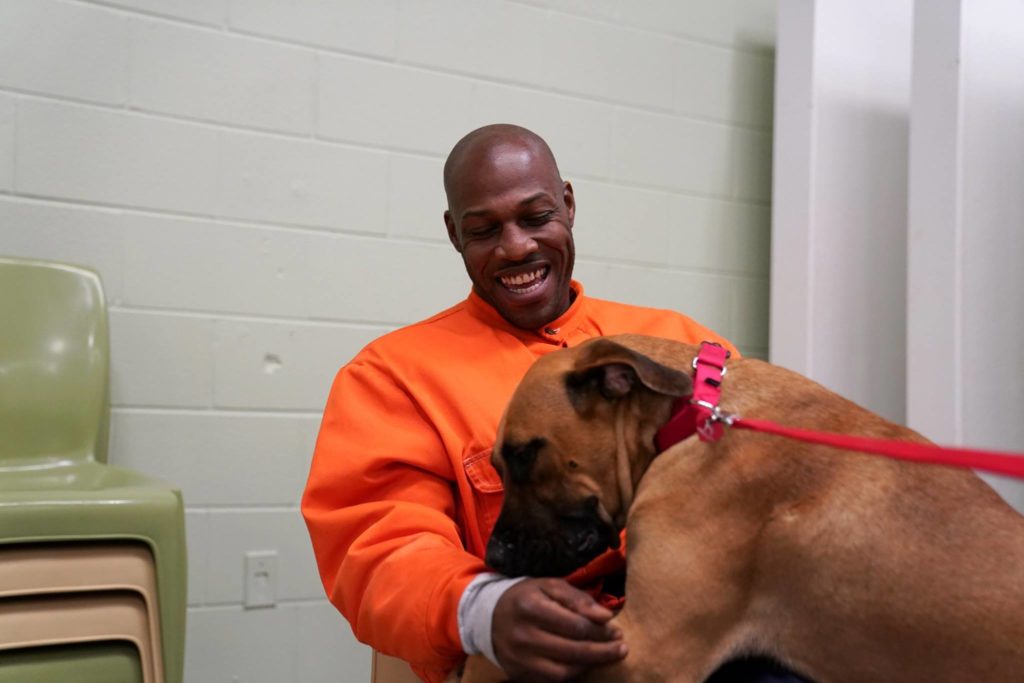 Dog in Canine CellMates Program