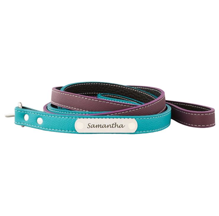 Italian Leather Leashes