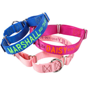 Embroidered Martingale Collars