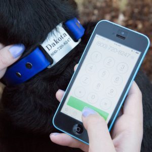 Person Dialing Contact Phone Number on Waterproof ScruffTag Dog ID Collar with Silent Name Plate Person Dialing Contact Phone Number on Waterproof ScruffTag Dog ID Collar with Silent Name Plate