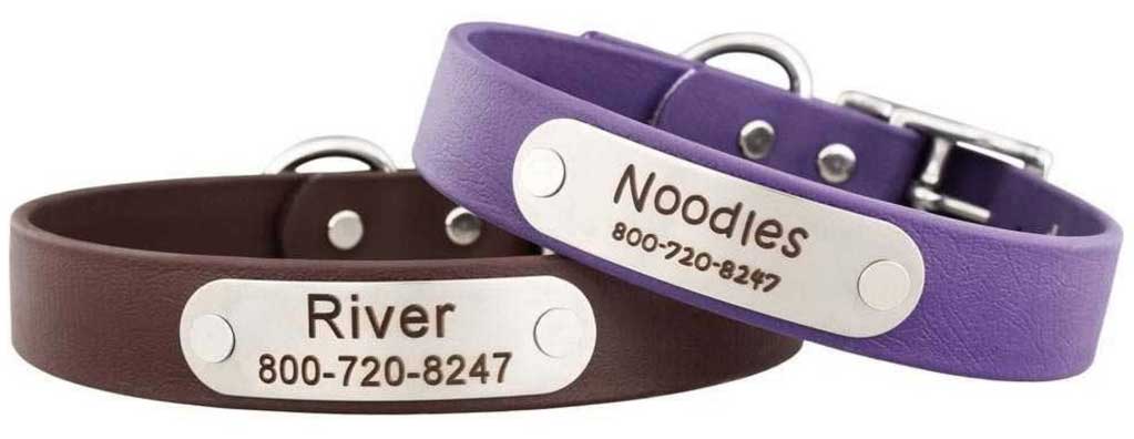 Waterproof Safety Collar with Name Plate