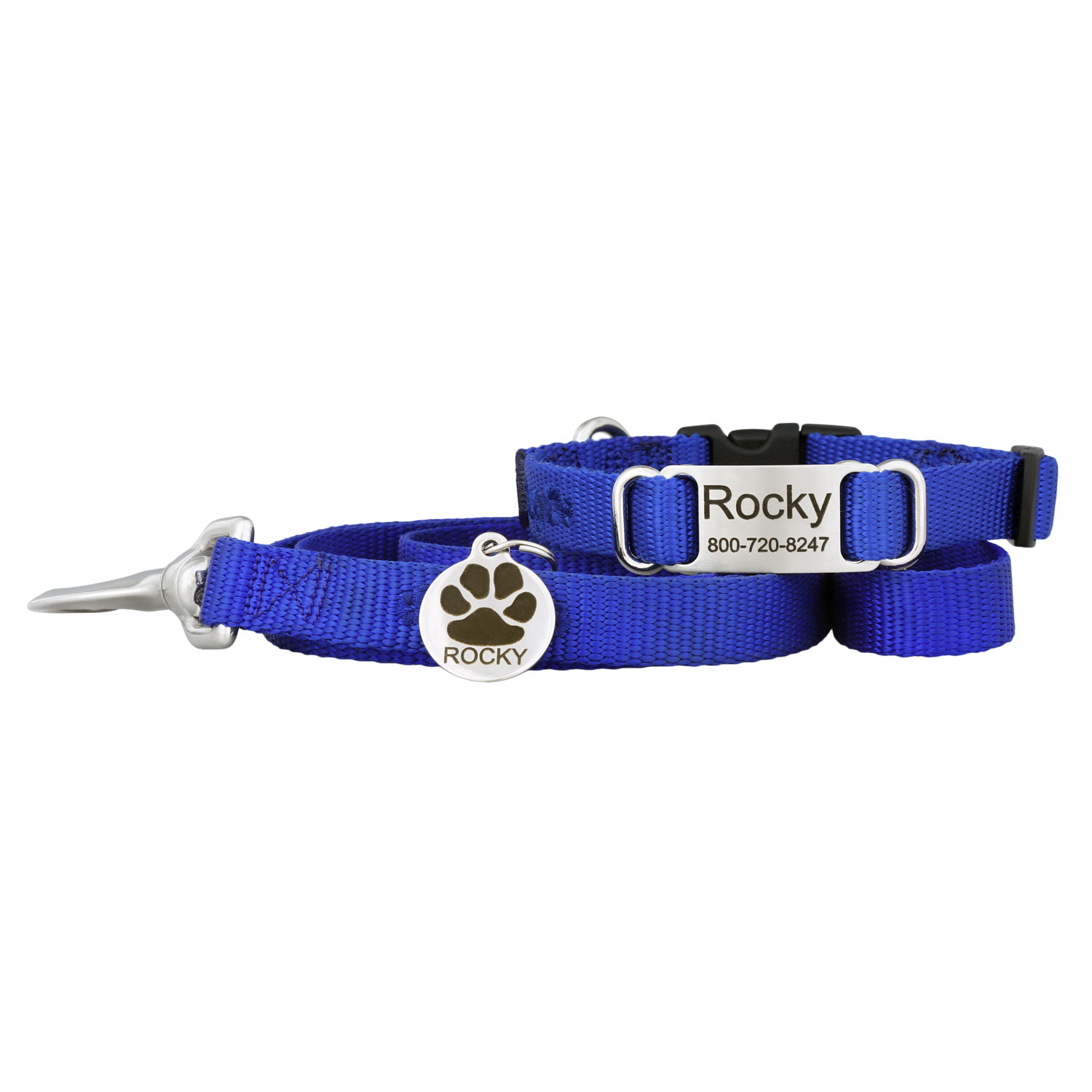 Puppy Collar and Leash