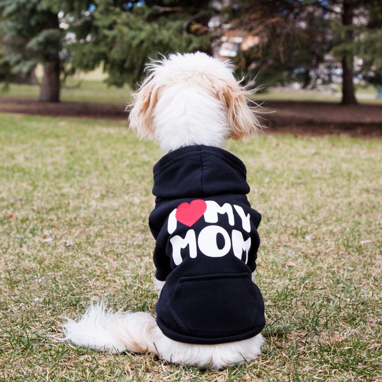 Mother's Day For Dog Moms  DIY & Gifts and More 