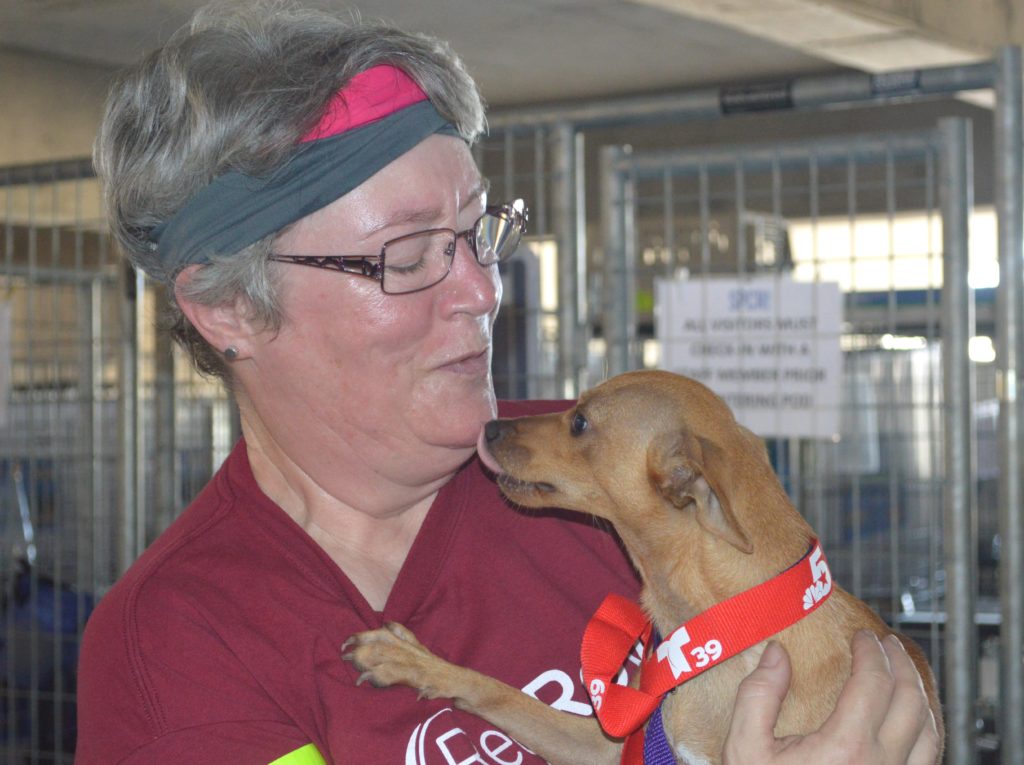 RedRover volunteer holding a dog