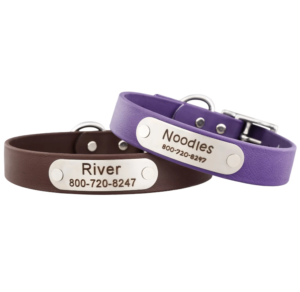 Personalized Waterproof Collars