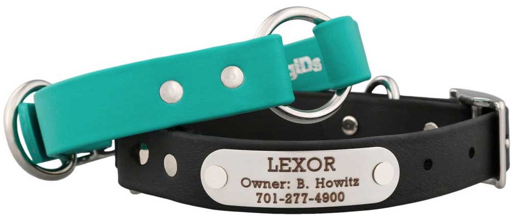 Waterproof Safety Collar with Name Plate