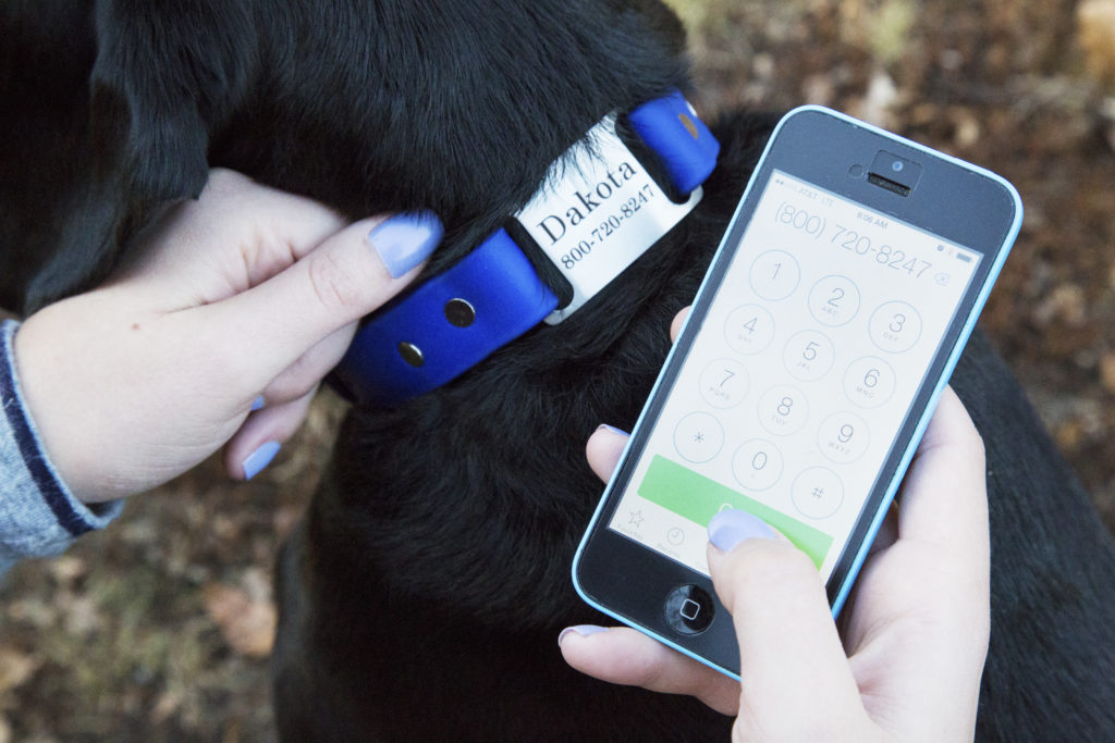 Person calling dog's owner from dog collar. 